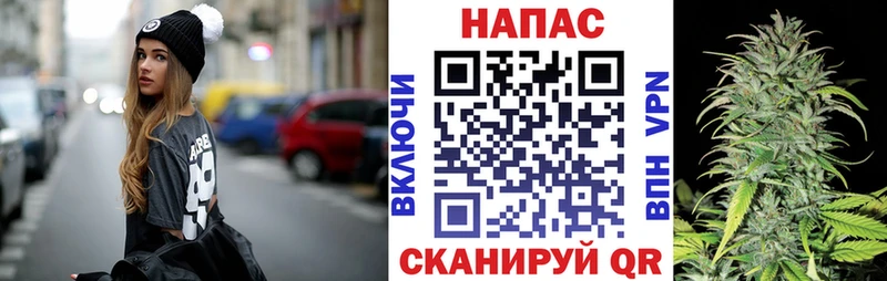 Купить наркотики Медынь Бошки Шишки  МЕФ  Псилоцибиновые грибы  ГАШ  A-PVP 