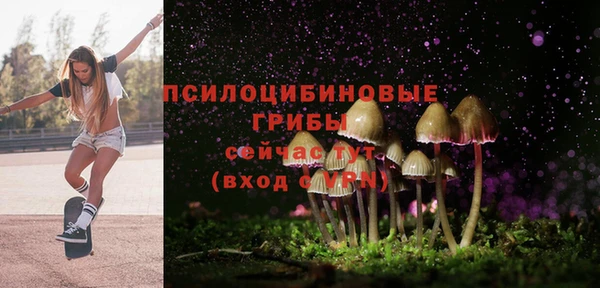 ECSTASY Алзамай