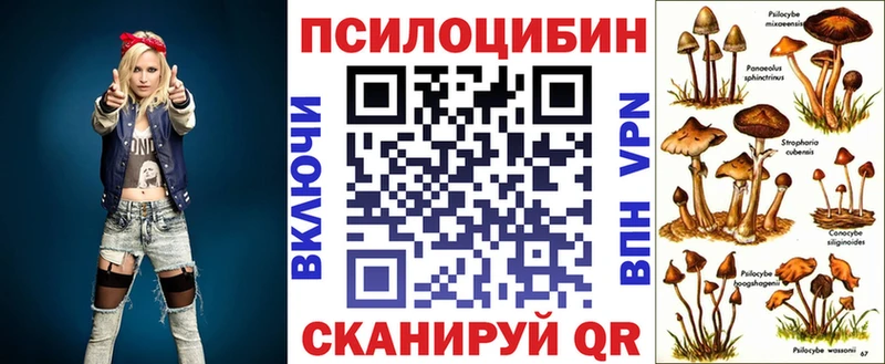 Галлюциногенные грибы Cubensis  Медынь 